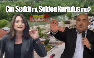 Çin Seddi mi, Selden Kurtuluş mu?